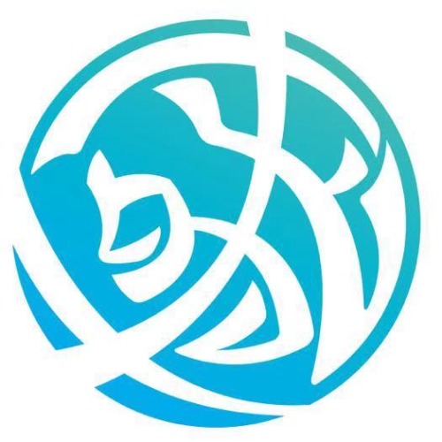 GF  Signet  2630系列余氯仪表附件和替换件
